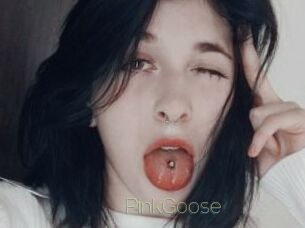 PinkGoose Visio Tchats
