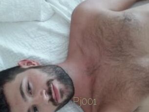 Pj001