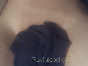 Playfulcock56