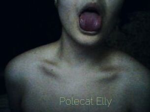 Polecat_Elly