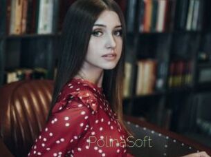 PolinaSoft