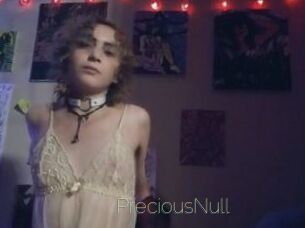 PreciousNull