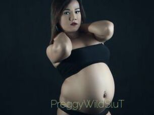 PreggyWildSluT Visio Tchats