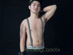 PrinceBigCockXx