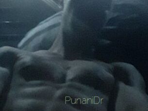 PunaniDr