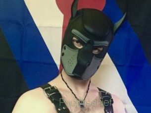 PupMischief