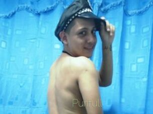 Purifull