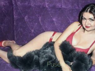 Puse