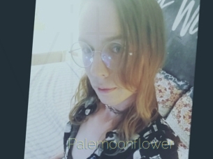 palemoonflower Visio Tchats