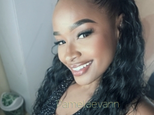 Pamelaevann