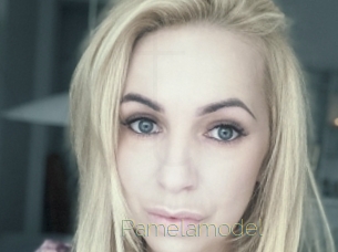 Pamelamodel