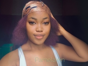 Pamelarein