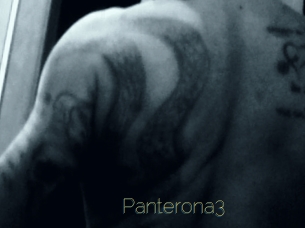 Panterona3