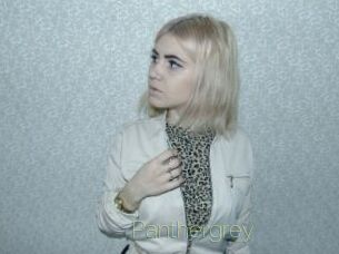 Panthergrey