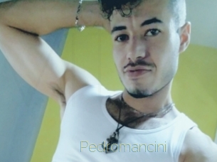 pedromancini Visio Tchats
