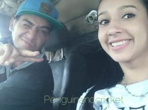 Penguinandcricket