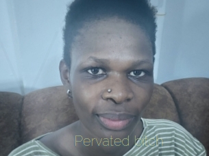 pervated_bitch Visio Tchats