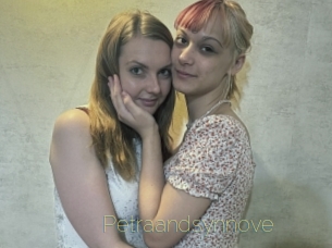 Petraandsynnove