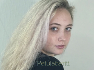 Petulabarritt