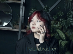 Petulabracher