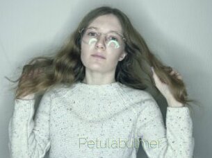 Petulabulmer