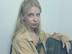 petulacarvin Visio Tchats