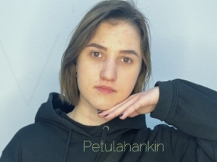 Petulahankin