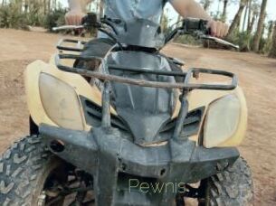 Pewnis