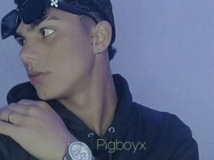 Pigboyx