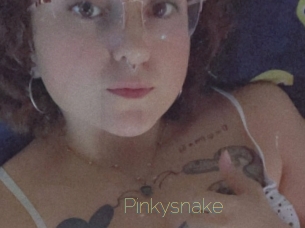 Pinkysnake