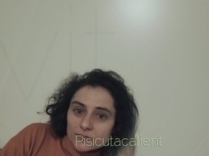 Pisicutacalient