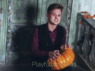 Playfulboydavid