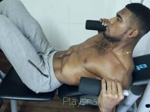 Playsnake