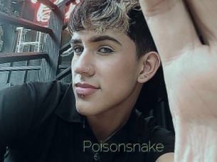 Poisonsnake