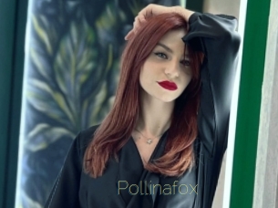 Pollinafox