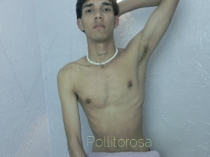 Pollitorosa
