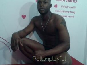Pollonplayful