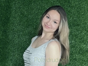 Pollydrudge