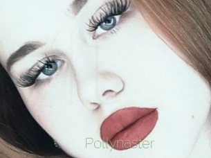 Pollynaster