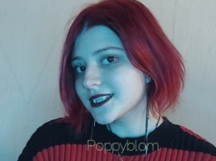 Poppyblom