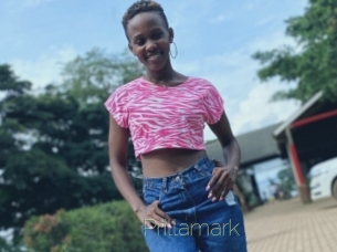 Prillamark