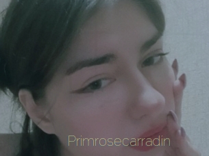 Primrosecarradin