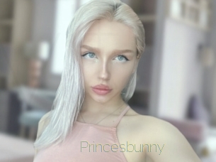 princesbunny Visio Tchats