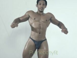Pumebonyfit