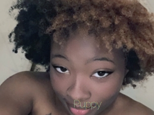 Puppy