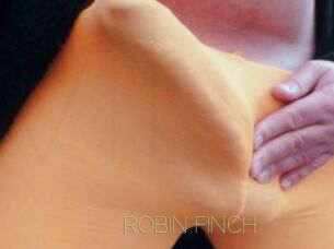 ROBIN_FINCH