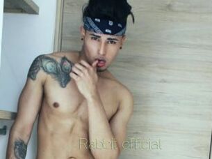 Rabbit_official