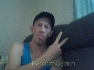 RandomOstrich Visio Tchats
