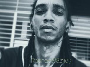 Raphael882303