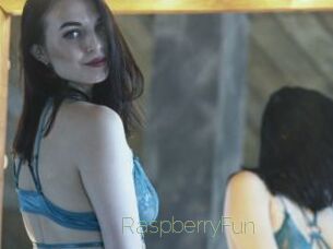 RaspberryFun